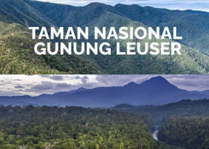 Misteri dan Keindahan Gunung Leuser: Apa yang Tersembunyi di Balik Legenda?