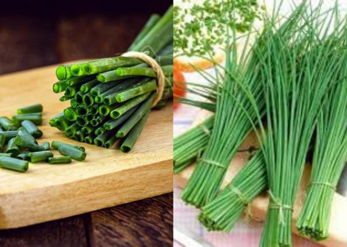 Yuk Intip! Inilah Manfaat Lakio Untuk Kesehatan Dan Cara Mengonsumsinya