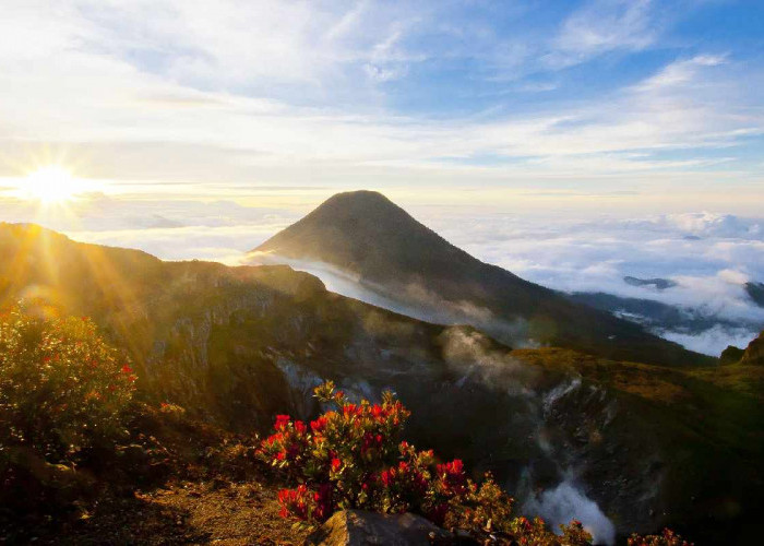 Gunung Gede Pangrango, Ini 4 Misteri Dibalik Keindahan Alam Indonesia!