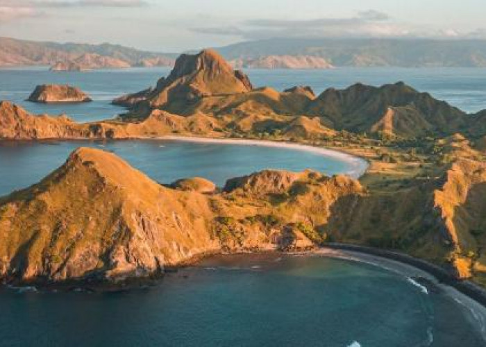 Pesona Cantik Pulau Rinca yang Miliki Daya Tarik Nan Eksotis