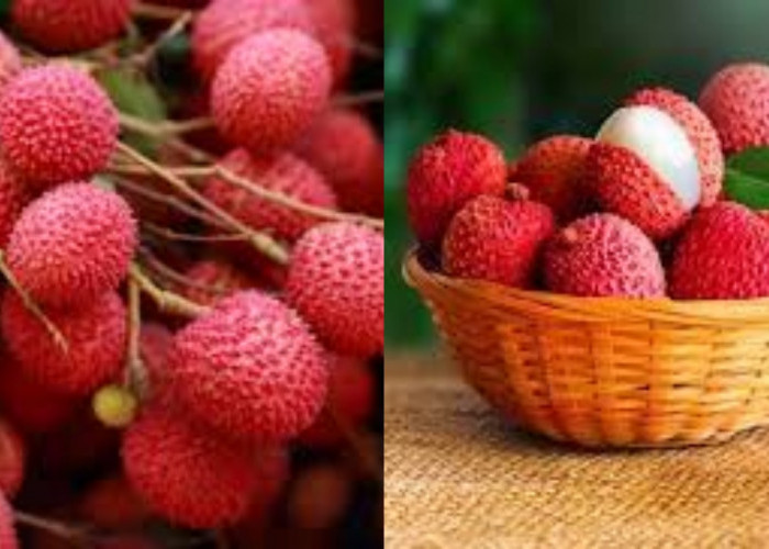 Manfaat Buah Leci: Si Manis Tropis Yang Kaya Antioksidan Yang Luar Biasa