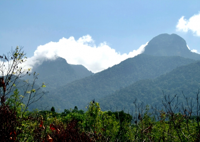 Mengungkap Asal Usul dan Misteri Gunung Batubrok di Kalimantan