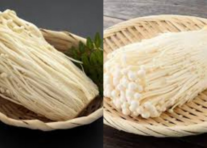Yuk Simak Inilah 8 Manfaat Jamur Enoki Untuk Kesehatan Yang Jarang Diketahui!