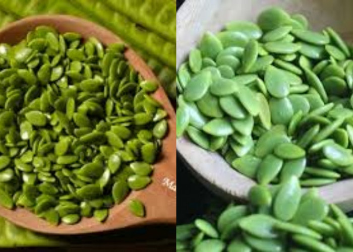 Inilah 8 Manfaat Petai Cina Untuk Kesehatan Tubuh Yang Jarang Diketahui!