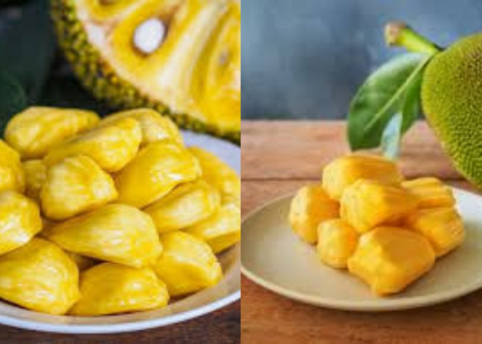 Inilah Sederet Khasiat Buah Nangka Untuk Ibu Hamil Yang Luar Biasa!