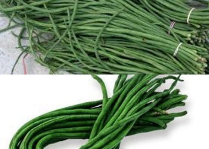 Menggali Manfaat Kacang Panjang untuk Kesehatan!