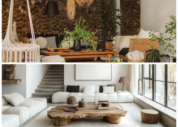 Rumah Minimalis Bisa Jadi Sumber Cuan: 9 Inspirasi Ternak di Lahan Sempit