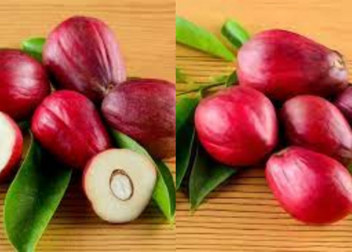 Mahkota Dewa: Ketahui Inilah 7 Manfaatnya Untuk Kesehatan Yang Jarang Diketahui