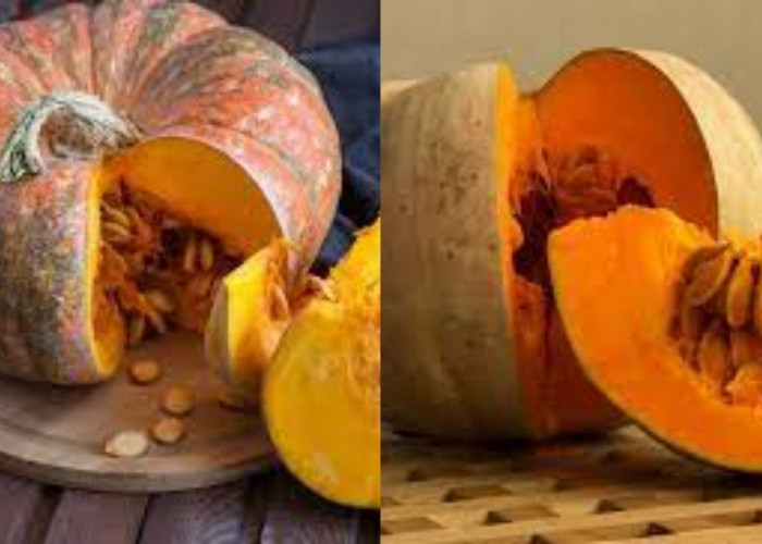 Yuk Intip! 7 Manfaat Labu Kuning Untuk Kesehatan Ibu Hamil Yang Luar Biasa