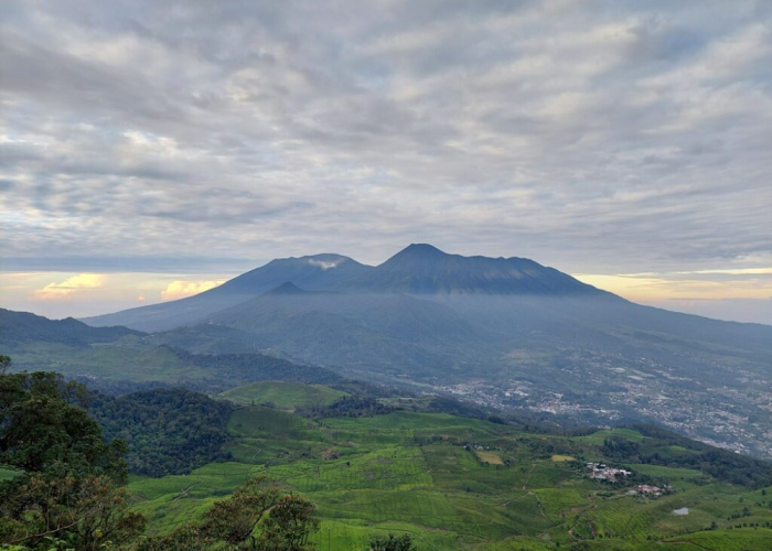 Memiliki Potensi Keindahan Pegunungan Pertanian yang Melimpah, Inilah Wisata di Cianjur Selain Gunung Padang
