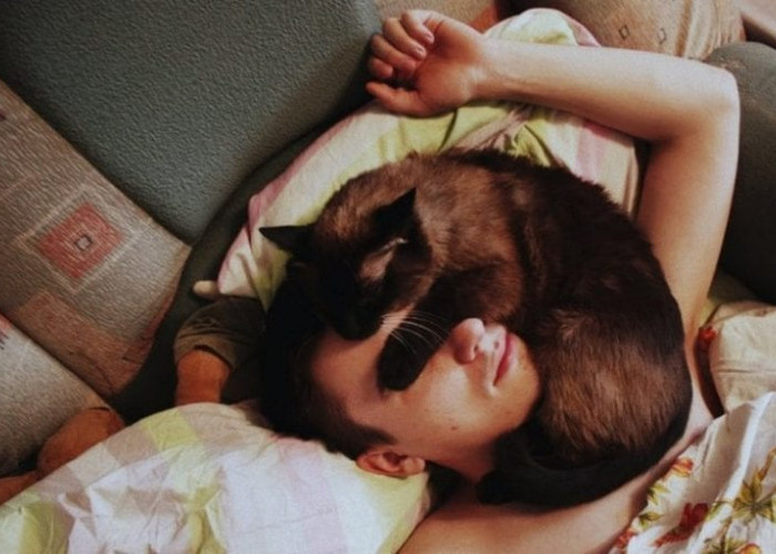 Kucing Kamu Suka Tidur Manja, Ternyata Ini 6 Alasannya, Katanya Bisa Dapet Keberuntungan?