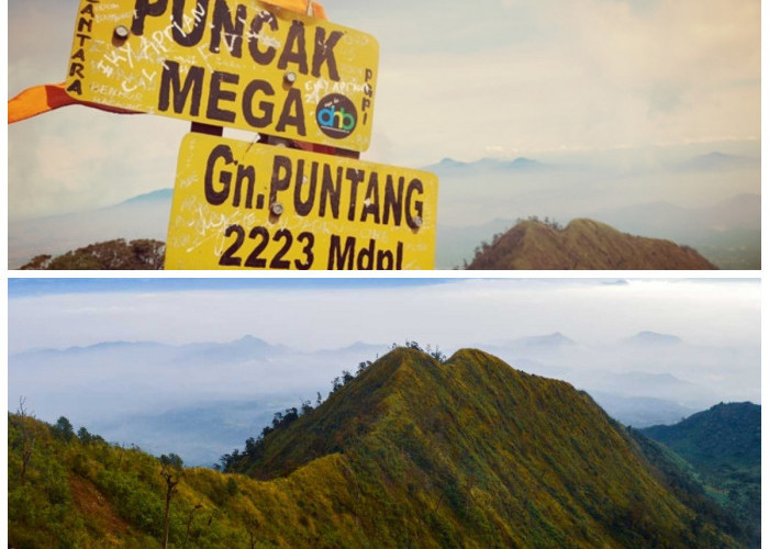 Gunung Mega: Menelusuri Sejarah, Mitos, dan Kekayaan Alam Papua Barat