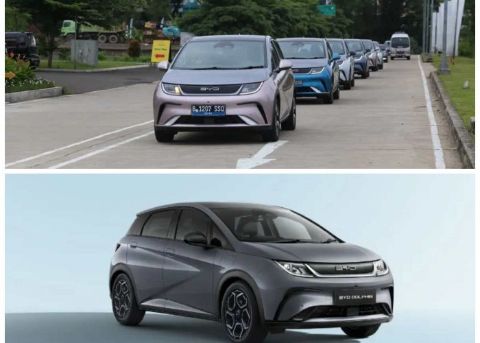 Meluncur di Tanah Air, BYD Dolphin 2026 Tawarkan Desain Modern dan Harga Terjangkau untuk Segmen EV