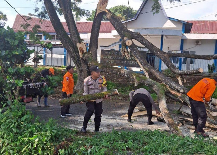 Polres - BPBD Tunjukkan Respon Cepat Laporan Pohon Tumbang