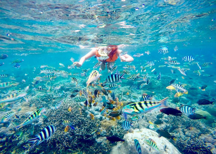 Menyimpan Surga Alam yang Indah! Inilah Pesona Cantik Bawah Laut Pulau Hatta 