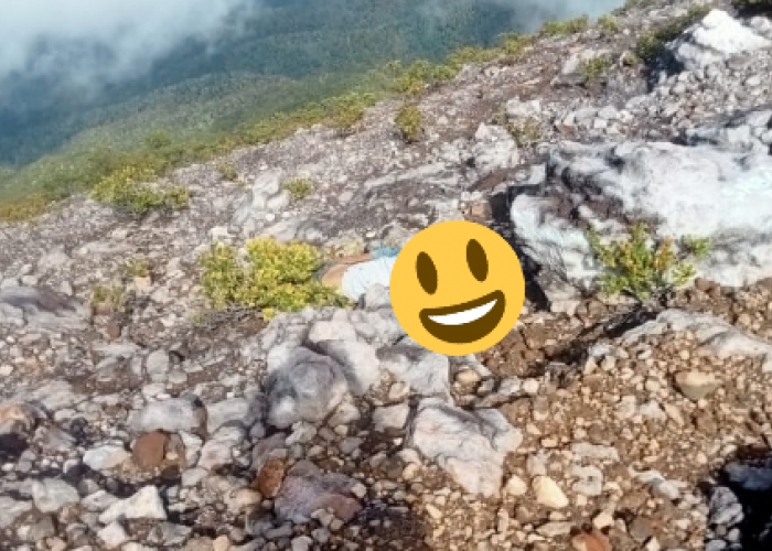 Heboh di Media Sosial, Mayat Mr X Ditemukan Dipuncak Gunung Dempo