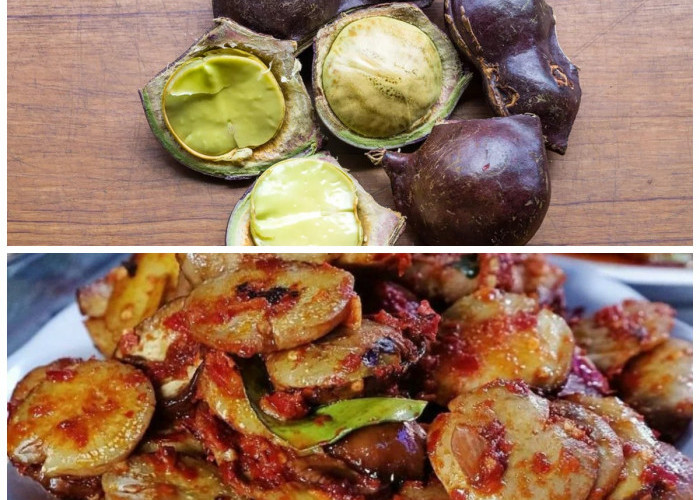 Lezat namun Berbahaya? Ini Manfaat dan Bahaya Jengkol untuk Tubuhmu