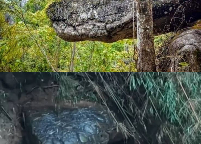 Penampakan Batu Mirip Ular Raksasa Jadi Sorotan, Dijuluki 