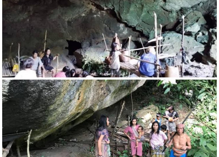 Menelusuri Keunikan Suku Punan Batu: Cermin Evolusi Manusia di Kalimantan