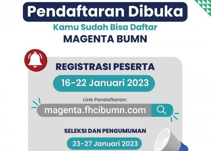 Keuntungan Program Magang MAGENTA BUMN, ini Infonya!