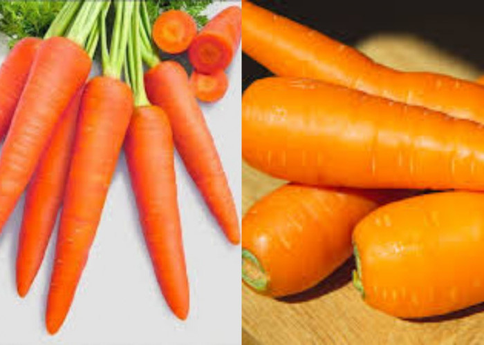  Inilah 9 Kandungan Nutrisi dan Manfaat Wortel Untuk Kesehatan Yang Harus Kamu Tahu!