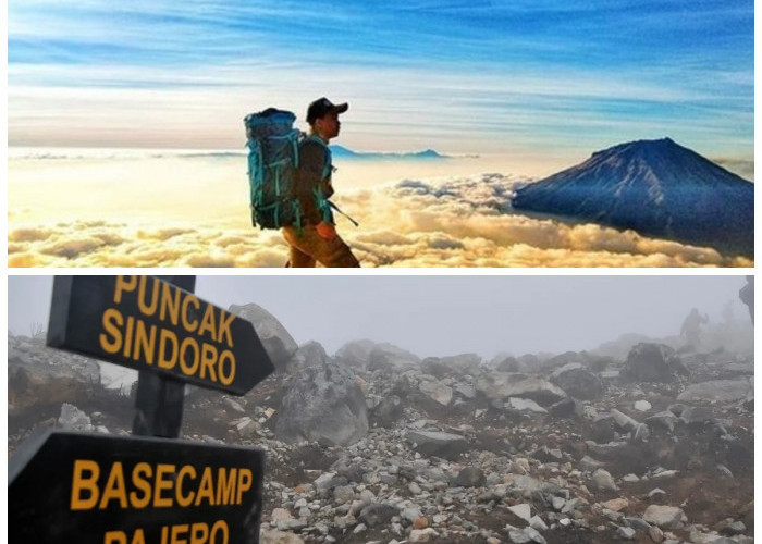 Jin Baik dan Mitos Edelweis di Gunung Sindoro: Mengungkap Kebenaran di Balik Kisah Mistis