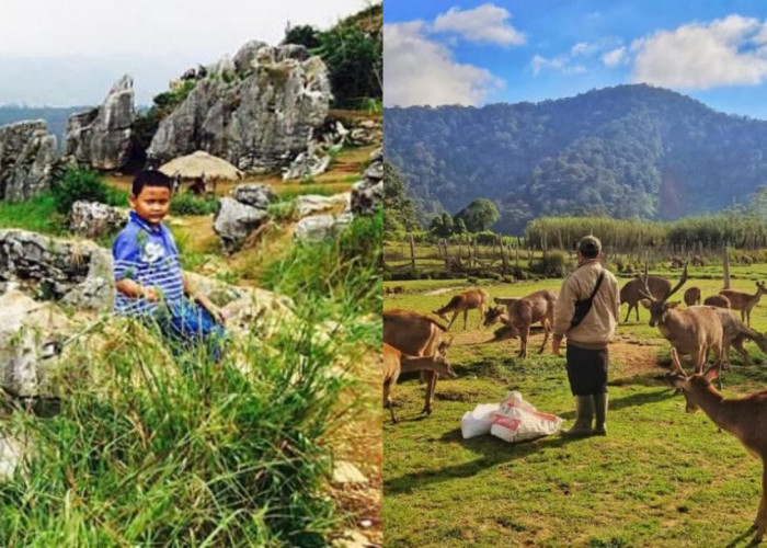 Apa Saja Wisata Alam di Bandung yang Bisa Dinikmati Saat Liburan Natal? Berikut 8 Pilihannya!