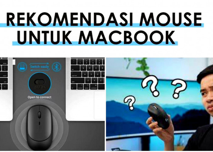 Catat! 5 Merk Mouse Terbaik untuk Digunakan dengan MacBook