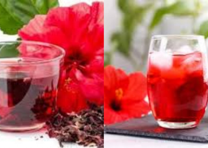  Yuk Ketahui! 7 Manfaat Teh Hibiscus Untuk Kesehatan Tubuh Yang Luar Biasa