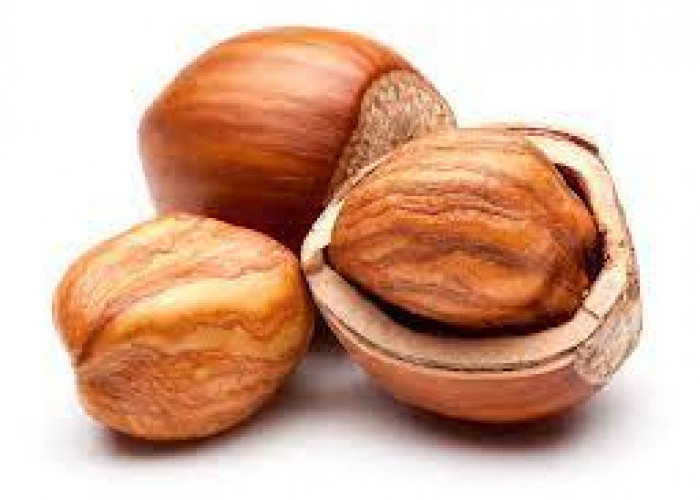 Manfaat Nutrisi dari Kacang Huzelnut yang Bikin Kalian Nagih!