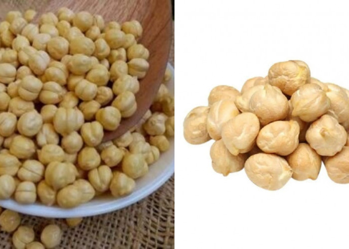 Kacang Arab: Teryata Ini Manfaat Dan Kandungan Nutrisi Yang Luar Biasa Untuk Kesehatan Tubuh Loh Guys
