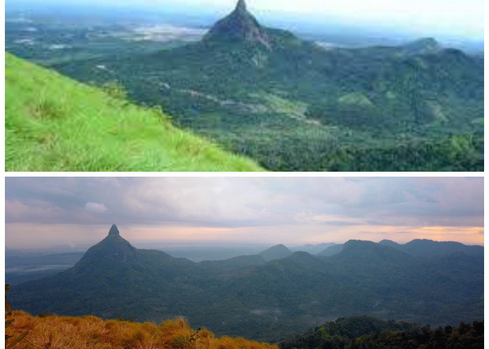 Petualangan Seru Menanti! Bukit Besar Lahat, Surga Bagi Pencinta Ketinggian