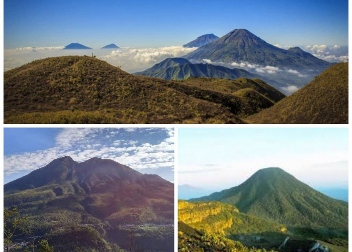 Sejarah dan Misteri Gunung Cikuray: Antara Pesona Alam, Jejak Sejarah, dan Kisah Mistis!