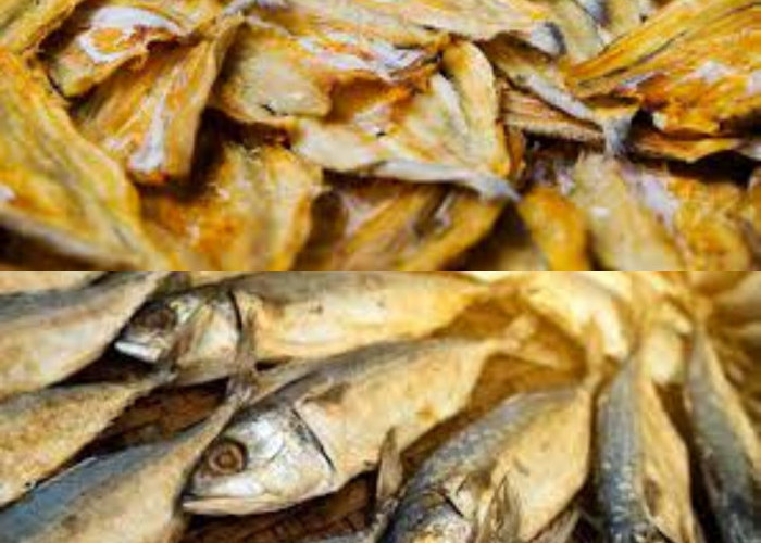 Kenali Peran Penting Ikan Asin yang Mampu Jaha Kesehatan Pada Tubuh 
