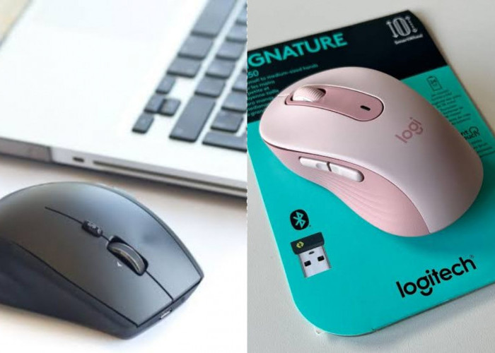 Apa Mouse Wireless Terbaik untuk Kerja Lama? Berikut 15 Rekomendasinya!