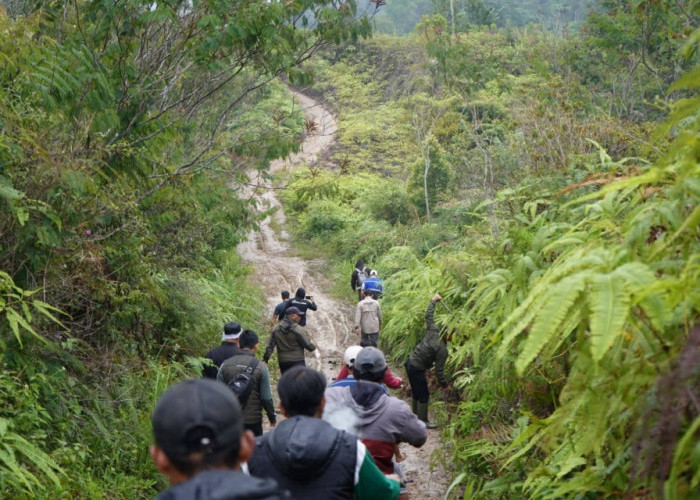 Waliikota Pagar Alam Tinjau Akses Pertanian di Talang Banan 2 Jam Jalan Kaki