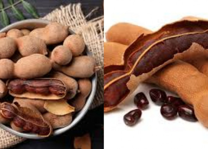 Kamu Harus Tahu! Inilah Manfaat Asam Jawa Untuk Kesehatan Tubuh Yang Luar Biasa