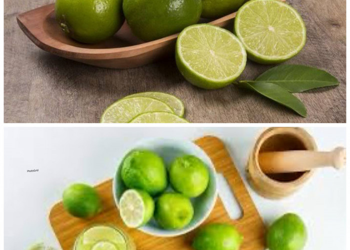 Jeruk Limau: Si Kecil yang Kaya Manfaat bagi Kesehatan Tubuh!