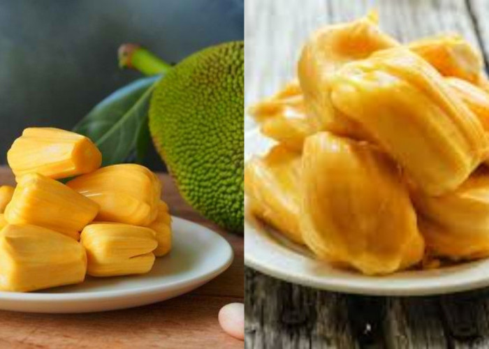 Wajib Diketahui! Inilah Manfaat Buah Nangka, bagi Kesehatan 