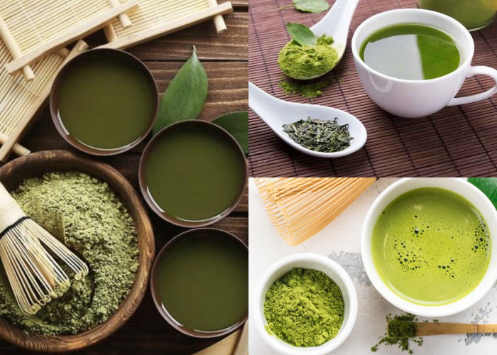 Matcha VS Green Tea, Pertanyaan Mengenai Manfaat Matcha vs Green Tea, Mana yang Lebih Sehat?