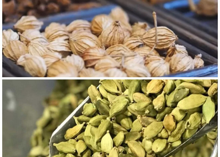 Manfaat Kapulaga untuk Kesehatan: Rempah Kecil dengan Khasiat Besar!