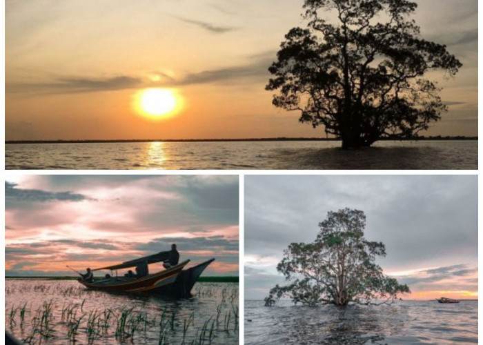 Sejarah Danau Melintang: Jejak Peradaban, Budaya Adat, dan Ekologi di Jantung Kalimantan Timur!