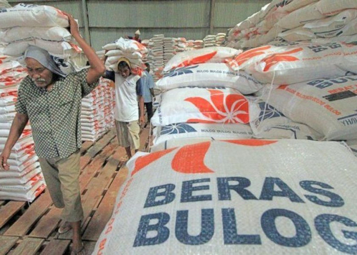 Skandal Korupsi Beras Premium Palsu, Kepala Bulog Waingapu Mengembalikan Rp 250 Juta