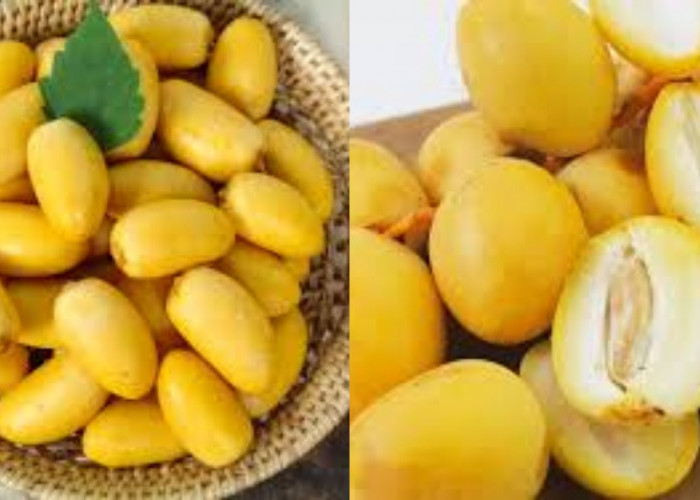 Simak! 7 Khasiat Dan Manfaat Kurma Kuning Muda Yang Luar Biasa