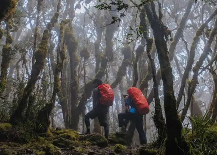 Mengenal Gunung Latimojong, Pesona Alam yang Memukau di Indonesia Timur, Pendaki Wajib Datang Kesini!