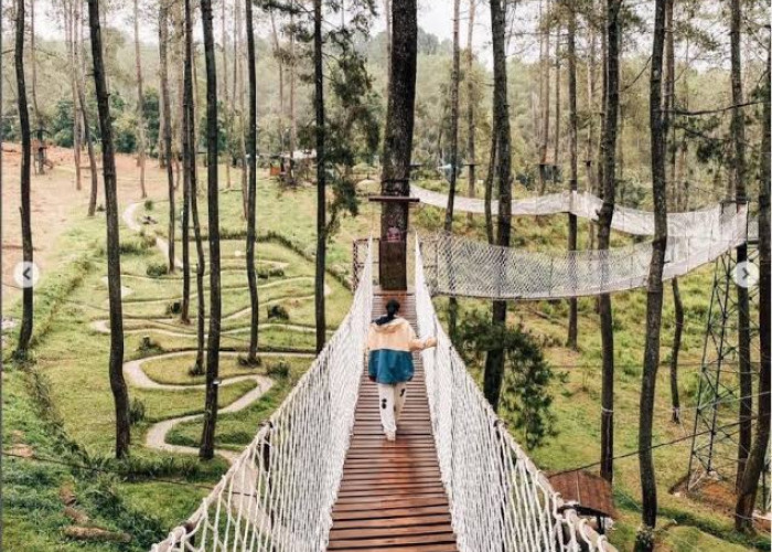 Cocok Buat Liburan Bareng Keluarga, Ini 5 Destinasi Wisata Alam yang Memukau di Bandung