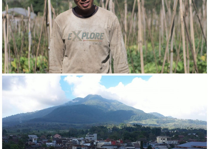 Mengenal Desa BRILian Sumowono, Desa Sayur yang Tumbuh dan Terus Berinovasi Bersama BRI