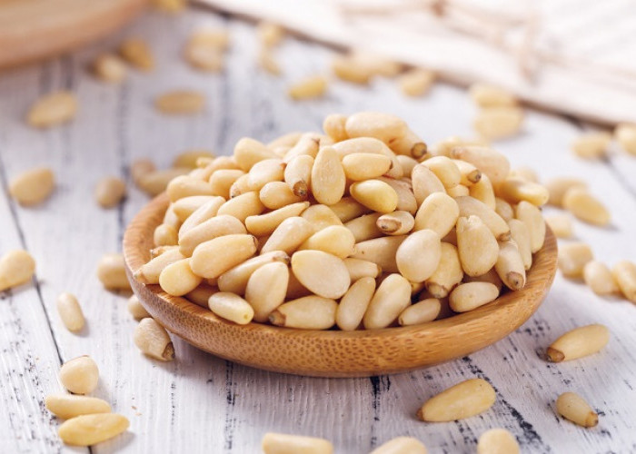 Manfaat Kacang Pinus Untuk Kesehatan Tubuh Anda!