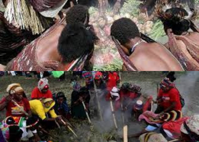 Taukah Kamu? Inilah Tradisi Unik Bakar Batu, Ritual Sebelum Memasak Khas Suku Dani Papua