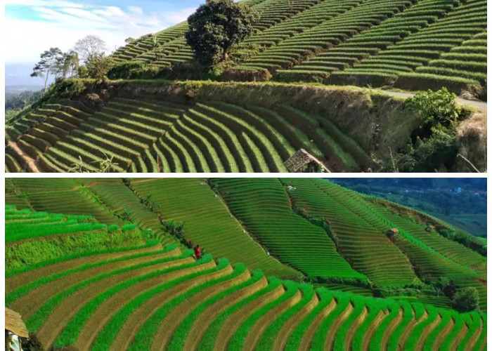 Jelajahi Keindahan Majalengka: Rekomendasi Wisata Hits dan Terpopuler Tahun Ini!